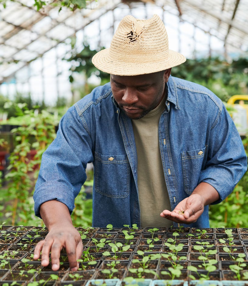 A gardener planting seeds in a greenhouse